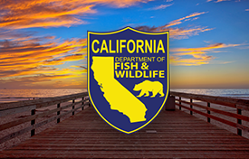 CLIENT callouts with logos V1 cali hf