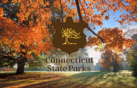 CLIENT callouts with logos V1 conn parks