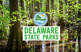 CLIENT callouts with logos V1 de parks