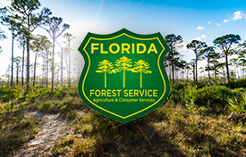 CLIENT callouts with logos V1 florida forest
