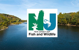 CLIENT callouts with logos V1 new jersey hf