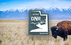 CLIENT callouts with logos V1 utah hf